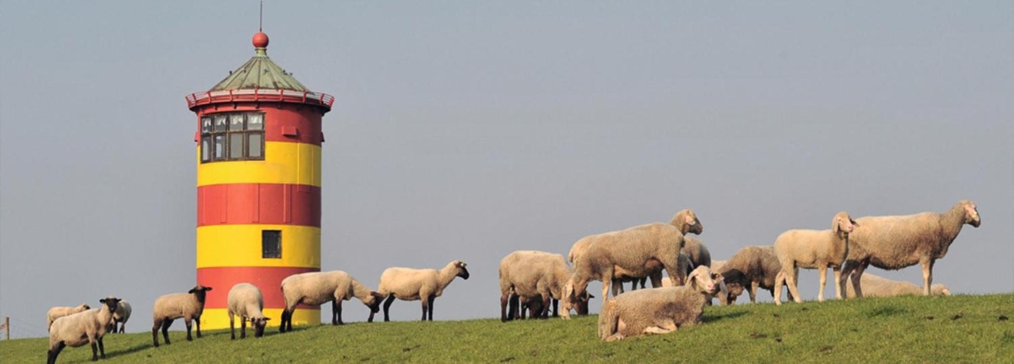 Vogelnest Lägenhet Hage Exteriör bild